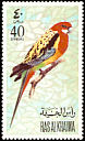 Eastern Rosella Platycercus eximius  1972 Birds 