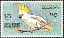 Sulphur-crested Cockatoo Cacatua galerita  1972 Birds 