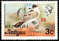 Loggerhead Kingbird Tyrannus caudifasciatus  1979 Overprint REDONDA on Antigua 1976.01 