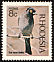 African Red-eyed Bulbul Pycnonotus nigricans  1971 Birds of Rhodesia 