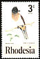 Dark-capped Bulbul Pycnonotus tricolor  1977 Birds of Rhodesia 