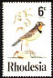 Cape Longclaw Macronyx capensis  1977 Birds of Rhodesia 
