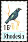 Miombo Blue-eared Starling Lamprotornis elisabeth  1977 Birds of Rhodesia 