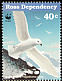 Snow Petrel Pagodroma nivea