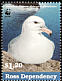 Southern Fulmar Fulmarus glacialoides