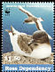 Antarctic Petrel Thalassoica antarctica  1997 Sea birds 