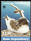 Antarctic Petrel Thalassoica antarctica