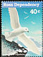 Snow Petrel Pagodroma nivea