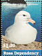 Southern Fulmar Fulmarus glacialoides  1997 Sea birds Sheet