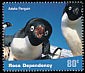 Adelie Penguin Pygoscelis adeliae  2001 Penguins 