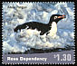 Adelie Penguin Pygoscelis adeliae  2001 Penguins 