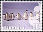 Emperor Penguin Aptenodytes forsteri  2005 Through the lens 5v set