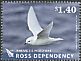 Snow Petrel Pagodroma nivea  2013 Antarctic food web 5v set