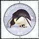 Emperor Penguin Aptenodytes forsteri  2014 Penguins of Antarctica 