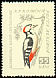 Great Spotted Woodpecker Dendrocopos major  1959 Birds 