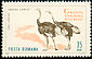 Common Ostrich Struthio camelus  1964 Bucharest Zoo 8v set