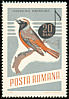 Common Redstart Phoenicurus phoenicurus  1966 Song birds 