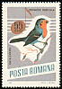 European Robin Erithacus rubecula  1966 Song birds 