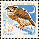 Eurasian Eagle-Owl Bubo bubo  1967 Birds of prey 