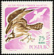 Western Osprey Pandion haliaetus  1967 Birds of prey 
