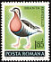 Red-breasted Goose Branta ruficollis  1973 Protection of nature 6v set