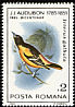 Baltimore Oriole Icterus galbula  1985 Audubon 