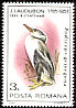 Red-necked Grebe Podiceps grisegena  1985 Audubon 