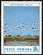 Great White Pelican Pelecanus onocrotalus  1987 Tourism 6v set