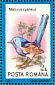 Superb Fairywren Malurus cyaneus  1991 Birds Sheet