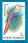 White-headed Wood Hoopoe Phoeniculus bollei  1991 Birds Sheet