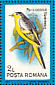 Orange Minivet Pericrocotus flammeus  1991 Birds Sheet