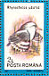 Kagu Rhynochetos jubatus  1991 Birds Sheet