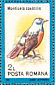 Common Rock Thrush Monticola saxatilis  1991 Birds Sheet