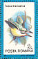 Puerto Rican Tody Todus mexicanus  1991 Birds Sheet