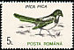 Eurasian Magpie Pica pica  1993 Birds No wmk