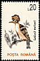 Eurasian Hoopoe Upupa epops  1993 Birds No wmk
