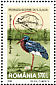 Black Stork Ciconia nigra  1999 Europa 