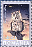 Eurasian Scops Owl Otus scops  2003 Owls 