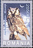 Boreal Owl Aegolius funereus