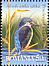 Common Kingfisher Alcedo atthis  2009 Birds of the Danube Delta 