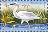 Great Egret Ardea alba  2009 Birds of the Danube Delta Sheet