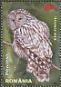 Ural Owl Strix uralensis  2013 Owls 