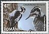 Eurasian Three-toed Woodpecker Picoides tridactylus  2013 Fauna of Rumania 4v set