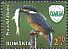 Common Kingfisher Alcedo atthis  2016 Ceahlau national park 12v set