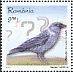 Western Jackdaw Coloeus monedula  2017 Intelligent birds 