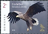 White-tailed Eagle Haliaeetus albicilla  2018 Birds records 