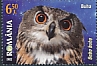 Eurasian Eagle-Owl Bubo bubo  2022 Nocturnal birds 