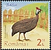 Helmeted Guineafowl Numida meleagris  2023 Poultry 