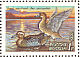 Garganey Spatula querquedula  1992 Ducks Sheet