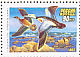 Steller's Eider Polysticta stelleri  1993 Ducks Sheet